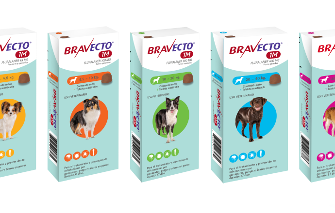 Bravecto 1M